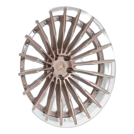Z-Performance ZP.MODULAR 2 | DEEP CONCAVE Sparkling Champagne Center - Pure White Lip